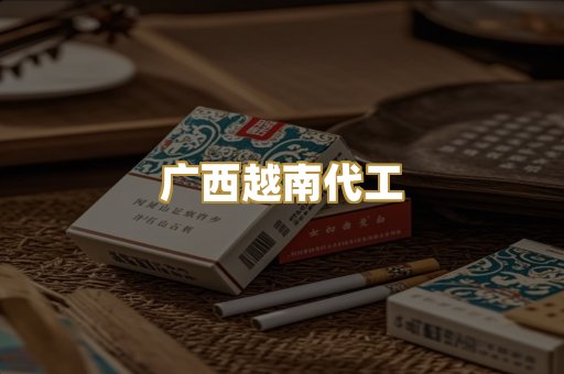 广西越南代工